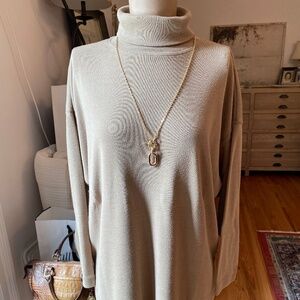 The Limited Tunic Turtle Neck Sweater